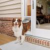imagePetSafe 2Piece Sliding Glass Pet Door  NoCut DIY Install Doggy Door for Renters  Aluminum Frame  Adjustable Height 75 78quot to 81quot  Ideal for Large Dogs Up to 100 lbsWhite