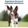imagePetSafe 300 Yard Remote Training Collar  2 Dog Kit  Tone Vibration ampamp 15 Levels of Safe ampamp Humane Static Stimulation Medium Range Option to Train Off Leash Dogs Waterproof Durable Rechargeable1 Dog