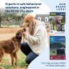 imagePetSafe 300 Yard Remote Training Collar  2 Dog Kit  Tone Vibration ampamp 15 Levels of Safe ampamp Humane Static Stimulation Medium Range Option to Train Off Leash Dogs Waterproof Durable Rechargeable1 Dog