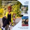 imagePetSafe 300 Yard Remote Training Collar  2 Dog Kit  Tone Vibration ampamp 15 Levels of Safe ampamp Humane Static Stimulation Medium Range Option to Train Off Leash Dogs Waterproof Durable Rechargeable1 Dog