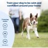 imagePetSafe 300 Yard Remote Training Collar  2 Dog Kit  Tone Vibration ampamp 15 Levels of Safe ampamp Humane Static Stimulation Medium Range Option to Train Off Leash Dogs Waterproof Durable Rechargeable1 Dog