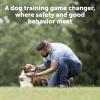 imagePetSafe 300 Yard Remote Training Collar  2 Dog Kit  Tone Vibration ampamp 15 Levels of Safe ampamp Humane Static Stimulation Medium Range Option to Train Off Leash Dogs Waterproof Durable Rechargeable1 Dog
