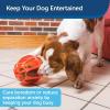 imagePetSafe Busy Buddy Kibble Nibble  Dog Toy  Treat and Food Dispenser  Slow Feeder  SmallOrange
