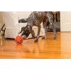 imagePetSafe Busy Buddy Kibble Nibble  Dog Toy  Treat and Food Dispenser  Slow Feeder  SmallOrange