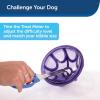 imagePetSafe Busy Buddy Kibble Nibble  Dog Toy  Treat and Food Dispenser  Slow Feeder  SmallPurple