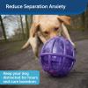 imagePetSafe Busy Buddy Kibble Nibble  Dog Toy  Treat and Food Dispenser  Slow Feeder  SmallPurple