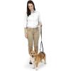 imagePetSafe CareLift Rear Support Harness  Senior ampamp Disabled Dog Rear Mobility Support  EasyFitting Breathable Belly Straps with Lifting Aid Handle ampamp Shoulder Strap  for Medium Dogs 3570 lbSmall Pack of 1