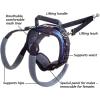 imagePetSafe CareLift Rear Support Harness  Senior ampamp Disabled Dog Rear Mobility Support  EasyFitting Breathable Belly Straps with Lifting Aid Handle ampamp Shoulder Strap  for Medium Dogs 3570 lbLarge Pack of 1