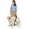 imagePetSafe CareLift Rear Support Harness  Senior ampamp Disabled Dog Rear Mobility Support  EasyFitting Breathable Belly Straps with Lifting Aid Handle ampamp Shoulder Strap  for Medium Dogs 3570 lbLarge Pack of 1