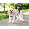 imagePetSafe CareLift Support Harness  Lifting Aid for Senior or Injured Dogs  Breathable Mesh  Machine Washable  PostSurgery Dog Support  MediumSmall