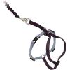 imagePetSafe Come with Me Kitty Harness and Bungee Leash Large LilacBlack