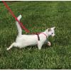 imagePetSafe Come with Me Kitty Harness and Bungee Leash Large LilacRed