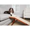 imagePetSafe CozyUp Sofa Ramp  Durable Wooden Pet Ramp Holds up to 100 lb  Great Couch Access for Dogs and Cats  Cherry Finish with Nonslip Carpet Tread  Folds for Easy StorageCherry