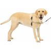 imagePetSafe Easy Walk NoPull Dog Harness  The Ultimate Harness to Help Stop Pulling  Take Control ampamp Teach Better Leash Manners  Helps Prevent Pets Pulling on Walks Small RaspberryGrayFawnBrown