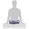 imagePetSafe Easy Walk NoPull Dog Harness  The Ultimate Harness to Help Stop Pulling  Take Control ampamp Teach Better Leash Manners  Helps Prevent Pets Pulling on Walks Small RaspberryGrayDeep PurpleBlack