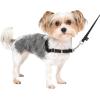 imagePetSafe Easy Walk NoPull Dog Harness  The Ultimate Harness to Help Stop Pulling  Take Control ampamp Teach Better Leash Manners  Helps Prevent Pets Pulling on Walks Small RaspberryGrayBlackSilver