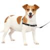 imagePetSafe Easy Walk NoPull Dog Harness  The Ultimate Harness to Help Stop Pulling  Take Control ampamp Teach Better Leash Manners  Helps Prevent Pets Pulling on Walks Small RaspberryGrayBlackSilver