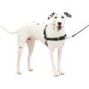 imagePetSafe Easy Walk NoPull Dog Harness  The Ultimate Harness to Help Stop Pulling  Take Control ampamp Teach Better Leash Manners  Helps Prevent Pets Pulling on Walks Small RaspberryGrayBlackSilver