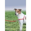 imagePetSafe Easy Walk NoPull Dog Harness  The Ultimate Harness to Help Stop Pulling  Take Control ampamp Teach Better Leash Manners  Helps Prevent Pets Pulling on Walks Small RaspberryGrayRedBlack