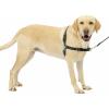 imagePetSafe Easy Walk NoPull Dog Harness  The Ultimate Harness to Help Stop Pulling  Take Control ampamp Teach Better Leash Manners  Helps Prevent Pets Pulling on Walks Small RaspberryGrayCharcoalBlack