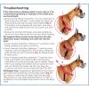 imagePetSafe Easy Walk NoPull Dog Harness  The Ultimate Harness to Help Stop Pulling  Take Control ampamp Teach Better Leash Manners  Helps Prevent Pets Pulling on Walks Small RaspberryGrayDeep PurpleBlack