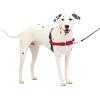 imagePetSafe Easy Walk NoPull Dog Harness  The Ultimate Harness to Help Stop Pulling  Take Control ampamp Teach Better Leash Manners  Helps Prevent Pets Pulling on Walks Small RaspberryGrayRedBlack