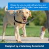 imagePetSafe Easy Walk NoPull Dog Harness  The Ultimate Harness to Help Stop Pulling  Take Control ampamp Teach Better Leash Manners  Helps Prevent Pets Pulling on Walks Small RaspberryGrayFawnBrown