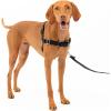 imagePetSafe Easy Walk NoPull Dog Harness  The Ultimate Harness to Help Stop Pulling  Take Control ampamp Teach Better Leash Manners  Helps Prevent Pets Pulling on Walks Small RaspberryGrayBlackSilver