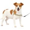 imagePetSafe Easy Walk NoPull Dog Harness  The Ultimate Harness to Help Stop Pulling  Take Control ampamp Teach Better Leash Manners  Helps Prevent Pets Pulling on Walks Small RaspberryGrayFawnBrown