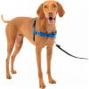 imagePetSafe Easy Walk NoPull Dog Harness  The Ultimate Harness to Help Stop Pulling  Take Control ampamp Teach Better Leash Manners  Helps Prevent Pets Pulling on Walks Small RaspberryGrayRoyal BlueNavy Blue
