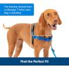 imagePetSafe Easy Walk NoPull Dog Harness  The Ultimate Harness to Help Stop Pulling  Take Control ampamp Teach Better Leash Manners  Helps Prevent Pets Pulling on Walks Small RaspberryGrayRoyal BlueNavy Blue