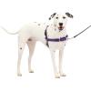 imagePetSafe Easy Walk NoPull Dog Harness  The Ultimate Harness to Help Stop Pulling  Take Control ampamp Teach Better Leash Manners  Helps Prevent Pets Pulling on Walks Small RaspberryGrayDeep PurpleBlack