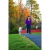 imagePetSafe Easy Walk NoPull Dog Harness  The Ultimate Harness to Help Stop Pulling  Take Control ampamp Teach Better Leash Manners  Helps Prevent Pets Pulling on Walks Small RaspberryGrayDeep PurpleBlack
