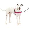imagePetSafe Easy Walk NoPull Dog Harness  The Ultimate Harness to Help Stop Pulling  Take Control ampamp Teach Better Leash Manners  Helps Prevent Pets Pulling on Walks Small RaspberryGrayRaspberryGray