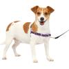 imagePetSafe Easy Walk NoPull Dog Harness  The Ultimate Harness to Help Stop Pulling  Take Control ampamp Teach Better Leash Manners  Helps Prevent Pets Pulling on Walks Small RaspberryGrayDeep PurpleBlack