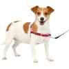 imagePetSafe Easy Walk NoPull Dog Harness  The Ultimate Harness to Help Stop Pulling  Take Control ampamp Teach Better Leash Manners  Helps Prevent Pets Pulling on Walks Small RaspberryGrayRedBlack