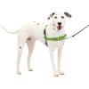 imagePetSafe Easy Walk NoPull Dog Harness  The Ultimate Harness to Help Stop Pulling  Take Control ampamp Teach Better Leash Manners  Helps Prevent Pets Pulling on Walks Small RaspberryGrayApple GreenGray
