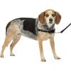 imagePetSafe Easy Walk NoPull Dog Harness  The Ultimate Harness to Help Stop Pulling  Take Control ampamp Teach Better Leash Manners  Helps Prevent Pets Pulling on Walks Small RaspberryGrayCharcoalBlack