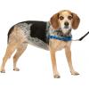 imagePetSafe Easy Walk NoPull Dog Harness  The Ultimate Harness to Help Stop Pulling  Take Control ampamp Teach Better Leash Manners  Helps Prevent Pets Pulling on Walks Small RaspberryGrayRoyal BlueNavy Blue