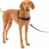 imagePetSafe Easy Walk NoPull Dog Harness  The Ultimate Harness to Help Stop Pulling  Take Control ampamp Teach Better Leash Manners  Helps Prevent Pets Pulling on Walks Small RaspberryGrayCharcoalBlack