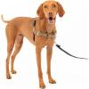 imagePetSafe Easy Walk NoPull Dog Harness  The Ultimate Harness to Help Stop Pulling  Take Control ampamp Teach Better Leash Manners  Helps Prevent Pets Pulling on Walks Small RaspberryGrayFawnBrown