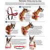 imagePetSafe Easy Walk NoPull Dog Harness  The Ultimate Harness to Help Stop Pulling  Take Control ampamp Teach Better Leash Manners  Helps Prevent Pets Pulling on Walks Small RaspberryGrayDeep PurpleBlack