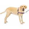 imagePetSafe Easy Walk NoPull Dog Harness  The Ultimate Harness to Help Stop Pulling  Take Control ampamp Teach Better Leash Manners  Helps Prevent Pets Pulling on Walks Small RaspberryGrayDeep PurpleBlack
