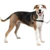 imagePetSafe Easy Walk NoPull Dog Harness  The Ultimate Harness to Help Stop Pulling  Take Control ampamp Teach Better Leash Manners  Helps Prevent Pets Pulling on Walks Small RaspberryGrayBlackSilver
