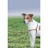 imagePetSafe Easy Walk NoPull Dog Harness  The Ultimate Harness to Help Stop Pulling  Take Control ampamp Teach Better Leash Manners  Helps Prevent Pets Pulling on Walks Small RaspberryGrayFawnBrown