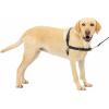 imagePetSafe Easy Walk NoPull Dog Harness  The Ultimate Harness to Help Stop Pulling  Take Control ampamp Teach Better Leash Manners  Helps Prevent Pets Pulling on Walks Small RaspberryGrayBlackSilver
