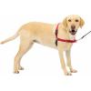 imagePetSafe Easy Walk NoPull Dog Harness  The Ultimate Harness to Help Stop Pulling  Take Control ampamp Teach Better Leash Manners  Helps Prevent Pets Pulling on Walks Small RaspberryGrayRedBlack
