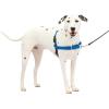 imagePetSafe Easy Walk NoPull Dog Harness  The Ultimate Harness to Help Stop Pulling  Take Control ampamp Teach Better Leash Manners  Helps Prevent Pets Pulling on Walks Small RaspberryGrayRoyal BlueNavy Blue