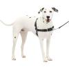 imagePetSafe Easy Walk NoPull Dog Harness  The Ultimate Harness to Help Stop Pulling  Take Control ampamp Teach Better Leash Manners  Helps Prevent Pets Pulling on Walks Small RaspberryGrayCharcoalBlack