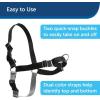 imagePetSafe Easy Walk NoPull Dog Harness  The Ultimate Harness to Help Stop Pulling  Take Control ampamp Teach Better Leash Manners  Helps Prevent Pets Pulling on Walks Small RaspberryGrayFawnBrown